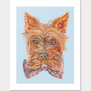 Yorkie With A Bow Tie Posters and Art